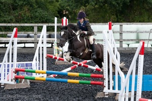 Class 2 -  Fences not above 2'